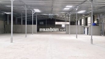 Cho thuê 2 nhà xưởng Thanh niên, Bình Chánh, DT : 1.150m2 - 1.200m2