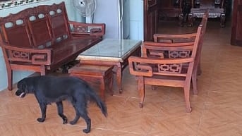 TÌM NGƯỜI CÓ SỨC KHỎE CHĂM CỤ ÔNG 80 TUỔI