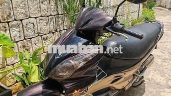 Suzuki Hayate đầu đèn Thái