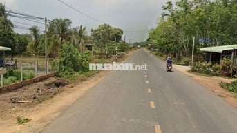 Cần tiền thiện chí bán lô đất 2.9 mẫu tại xã Hòa Thạnh,Châu Thành