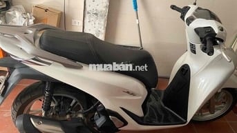 Mình cần bán Sh chính chủ biển 19