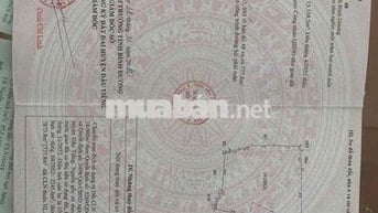 3ha đất SKC 50 năm đóng thuế 1 lần, Thanh tuyền, dầu tiếng (40 tỷ)