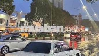 Toyota Cressida 1996 Trắng