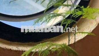 Phòng áp mái siêu chill trong căn biệt thự sân vườn