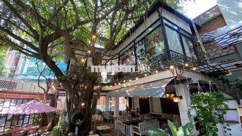 - Thuê biệt thự sân vườn + 500 m2 + phường 7 Tân Bình