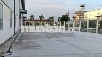 Cho thuê kho xưởng KCN Hải Sơn, Tân Đô, Tân Đức, Long An, PCCC tự động