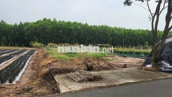 Bán đất kinh doanh gần cổng chính kcn Đất Đỏ 190.5m2