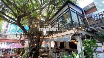 Cho Thuê Nhà Góc Đẹp Đường Bành Văn Trân, Tân Bình (12.5x22m - TỰ DO)