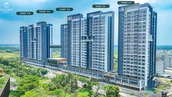 Cập nhật giỏ hàng cho thuê Căn hộ Celesta Rise giá rẻ nhất thị trường