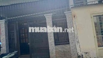 Cho thuê nhà nguyên căn đối diện chùa Tây Tạng đường nhựa 6