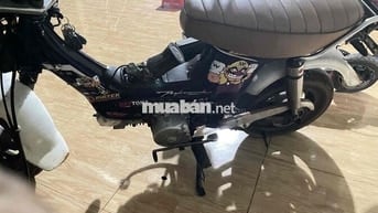 Honda Chaly Tím 110cc