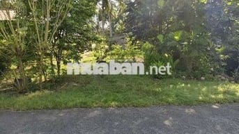 💥đất lộ nhựa  ngang 12m dài hơn 100m2 có 150 đất ở 👇