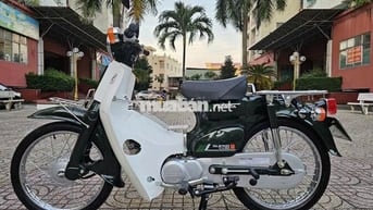 🏷️Honda Super Cup🏷️ 81/86/50Cc