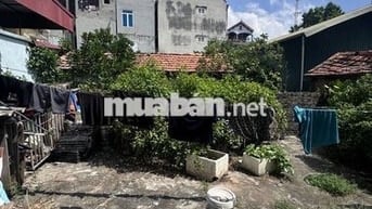 📍 Bán đất Trung Kiên – Tây Tựu, Bắc Từ Liêm – Giá 7 tỷ 3 DT 88m²,