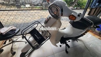 Bán xe cup 50 đời 2022