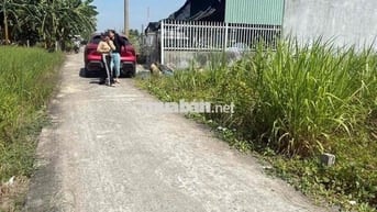 cần bán đất thổ tại Lạc Tấn, Tân Trụ, Long An dt 157,6m2 nền cao