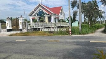 BÁN GẤP GIẢM 200 TRIỆU - 500m2  TH Ổ CƯ -XÃ BÌNH TRINH ĐÔNG - LONG AN