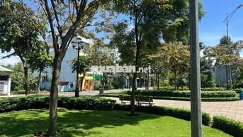 Nhà cần cho thuê hoặc bán, thuê nguyên căn hoặc thuê từng phòng