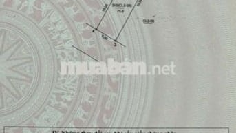 Bán đất đấu giá Điếm Tổng- Tân Ước- Thanh Oai , giáp khu D  Olympic