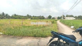 🌿🌿 CHÍNH CHỦ GỬI BÁN ĐẤT THỔ CƯ – ĐỨC TÂN, TÂN TRỤ, LONG AN