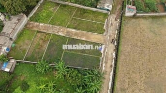 Chủ cần tiền bán căt lỗ 97,1m2 đất full thổ cư