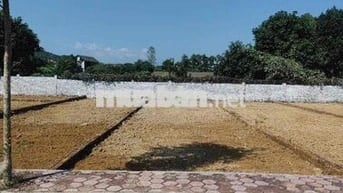 Bán  Đất cổ Đông Hoà Lạc :giá 2,39 tỷ