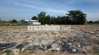 Đất gia đình cần bán , đất gò công 200m2 full thổ cư SHR 490tr