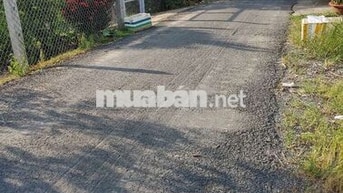 Bán đất nền thổ cư đường hai cây lim