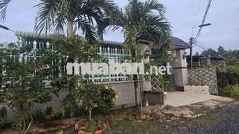 Nhà vườn gần 800m² thổ cư 100% huyện Đức huệ long an