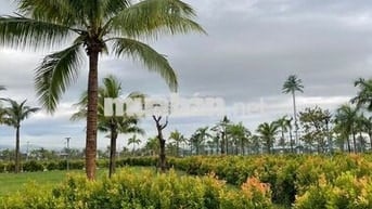 RẺ NHẤT THỊ TRƯỜNG KHU ĐẦM SEN - NAM HOÀ XUÂN