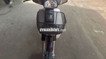 DIM HÀN QUỐC . BSTP cà vẹt đầy đủ .