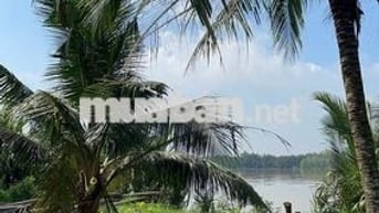 222m² đất vườn ven sông Cửa Tiểu – giá chỉ 160 triệu! 🌿🍍🌱