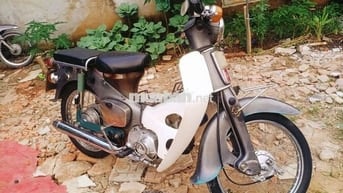 Cub 78.GTDD biển 61..