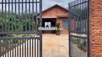 🌿 “NẾU MỆT QUÁ… VỀ ĐÂY Ở VỚI EM” 🌿