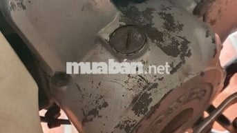 Xe dream thái biển hải dương