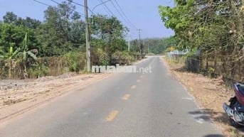 Kẹt tiền bán nhanh lô đất 116m2 290Tr ngay Trừ Văn Thố-Bàu Bàng