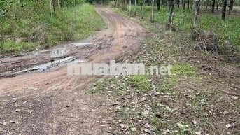 CHỦ GỬI ĐẤT LÀM KHO XƯỞNG TẠI TÂY NINH