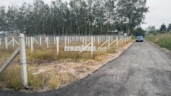 200TR NHẬN SỔ ĐÓN ĐẦU KCN HIỆP THẠNH