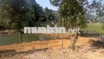 BÁN LÔ ĐẤT 3.452m² (500m² thổ cư tại xóm Mãi Liên, xã Sơn Phú,Hòa Bình