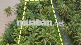 ĐẤT SÁT SÔNG MEKONG GIÁ RẺ  💵 399 triệu / 1,178m2