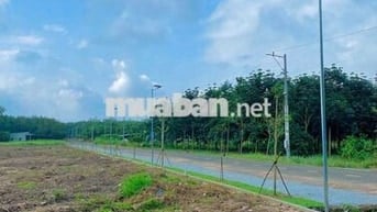 Bán lô đất sẵn thổ cư, mặt tiền đường nhựa lớn.