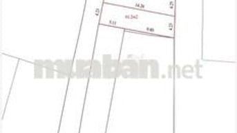 SIÊU PHẨM F0 – GIÁP ĐÔNG ANH  Tại KIM THIỀU - HƯƠNG MẠC - TỪ SƠN