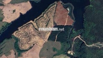 Bán đất nông nghiệp giá rẻ Đak Lak (Miễn tiếp trả giá)