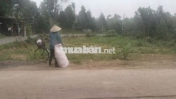 Cần tiền gấp bán lô đất tại triệu Thành triệu sơn,TH  320m giá 550tr