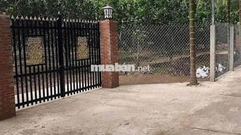 Trước vk ck em cho thuê 1năm 40 triệu bây giờ miếng đất để không nhìn