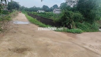 Chính chủ bán lô góc 1760 m2 .phú thành lạc thủy