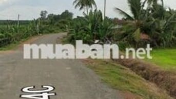 LÔ ĐẤT ĐẸP MẶT TIỀN ĐƯỜNG TỈNH 14C HUYỆN BẾN CẦU