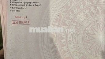 Chính chủ đất thổ cư đẹp vuông vứt Chợ Mới,Tân Châu,