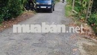 Bán 1 hecta đất trồng sầu riêng đồng tháp mặt tiền 9m