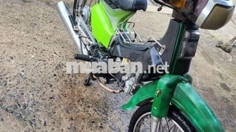 Honda Dream 110cc Xanh lá